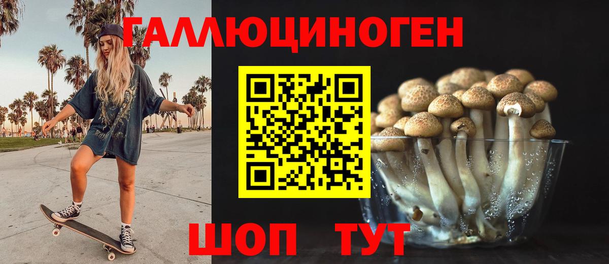 Галлюциногенные грибы Psilocybe  Псилоцибиновые грибы мицелий  Вход с VPN  Бирск 